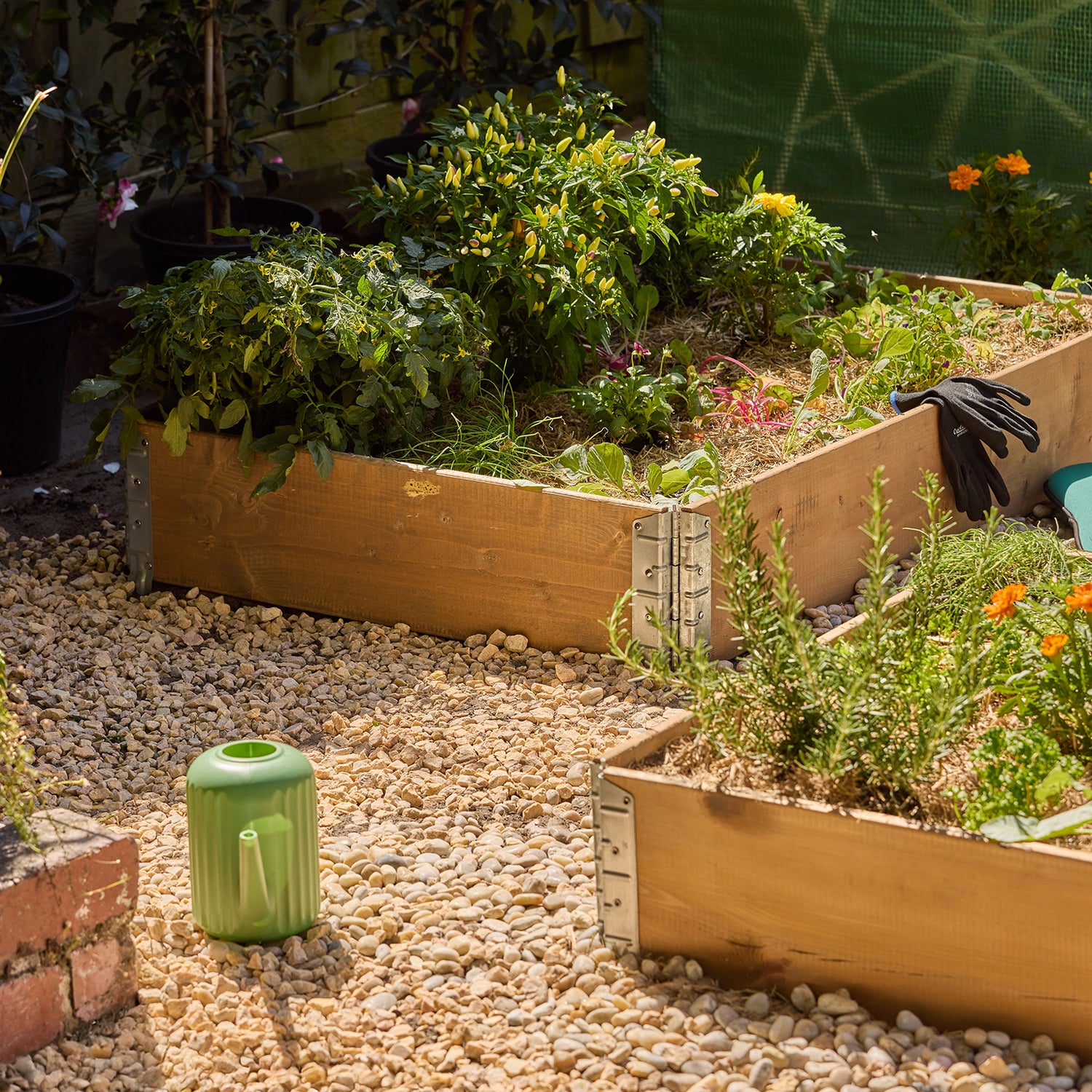 Large Raised Garden Bed