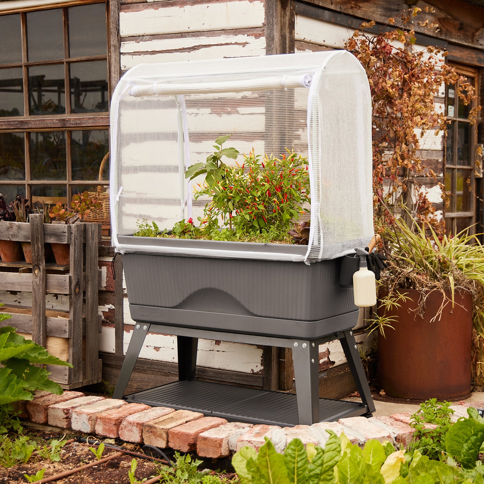 canopy self watering planter Georgie