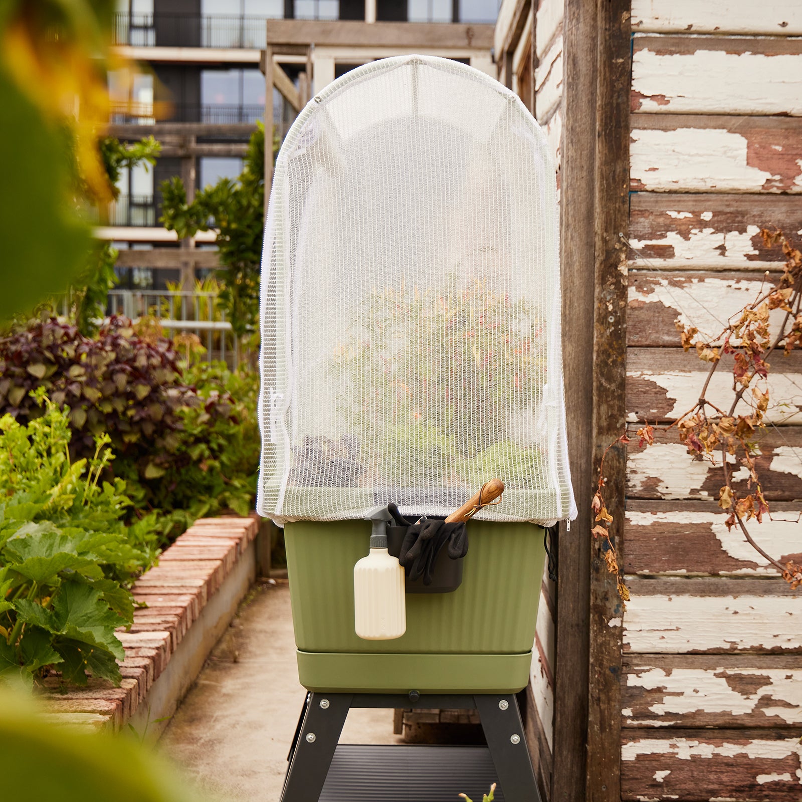 canopy self watering planter Georgie