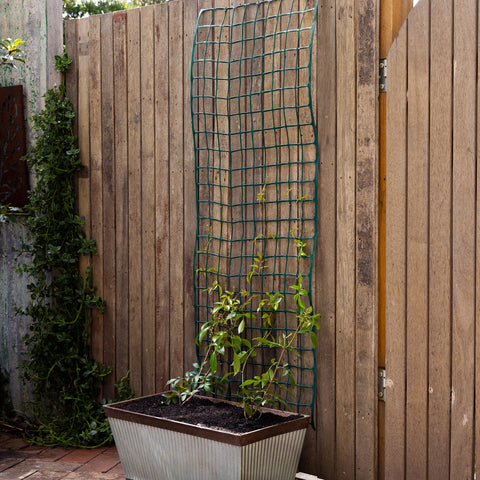 Garden Trellis 50mm