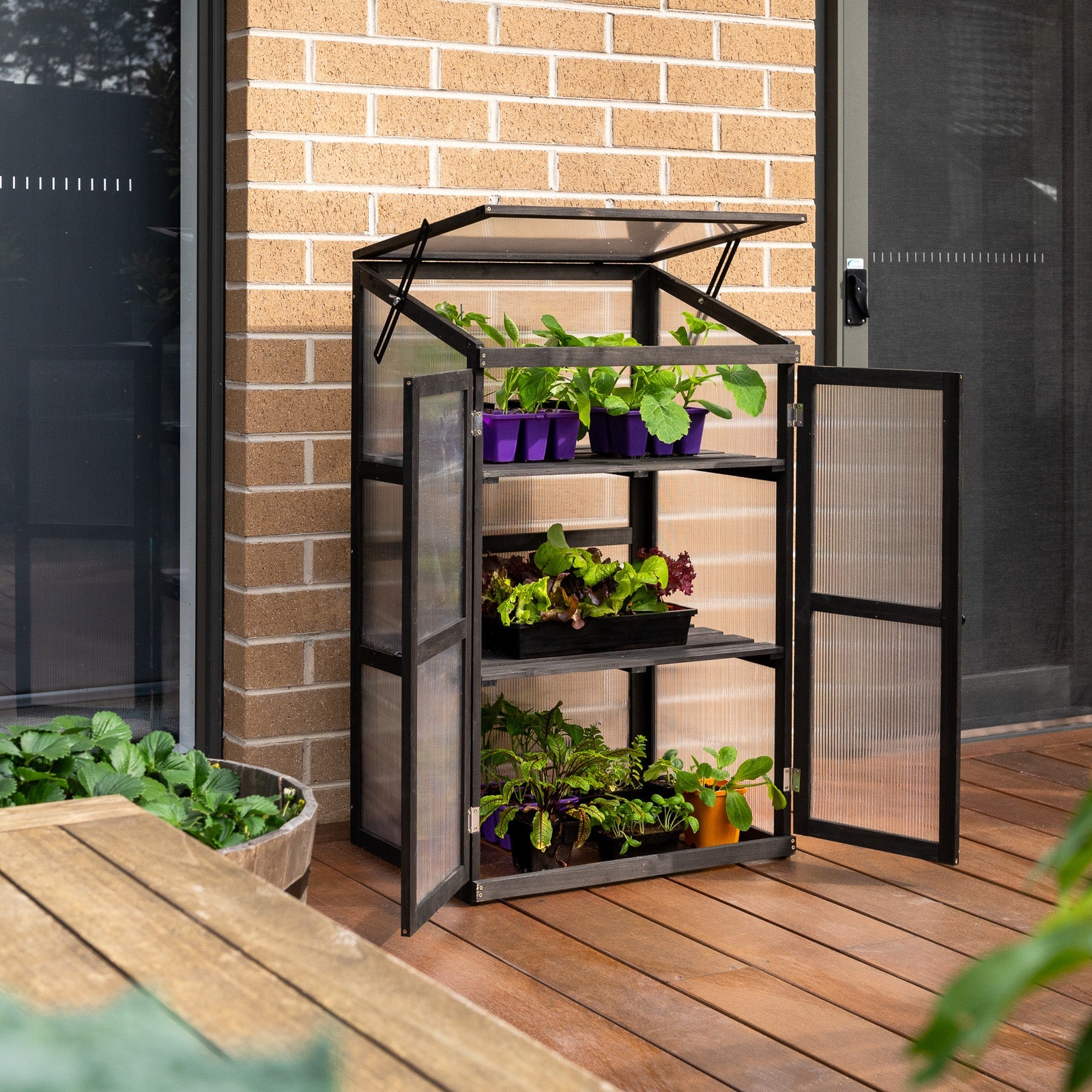 Greenhouses AMES Backyard Farmer